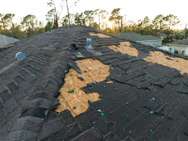 Best Asphalt Shingle Roofing  in Garwood, NJ
